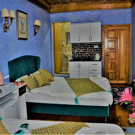 Hotel The Trip Old City