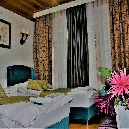 The Trip Old City 3* 이스탄불