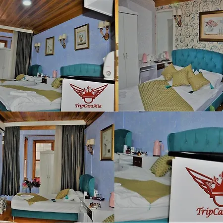 The Trip Old City 3*